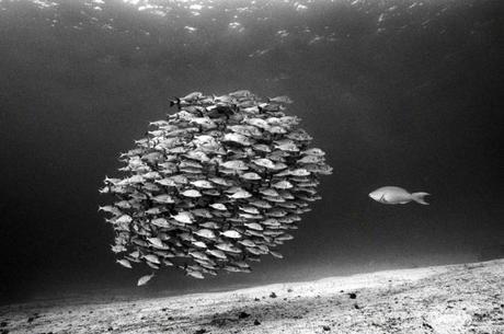 No enrolas porque no enrolas