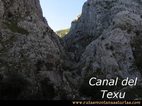Ruta Poncebos a Cabrones por Camburero y Urriellu: Canal del Texu