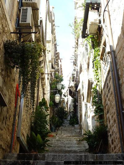 Dubrovnik: gatos, murallas, escaleras y ropa tendida.