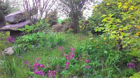 Chelsea Flower Show 2015 y los Paisajes Transportados