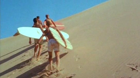 The Endless Summer - 1966