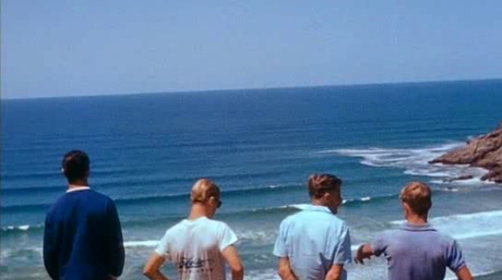 The Endless Summer - 1966