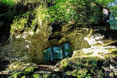 Lluvia de gusanos en el bosque encantado de piedra