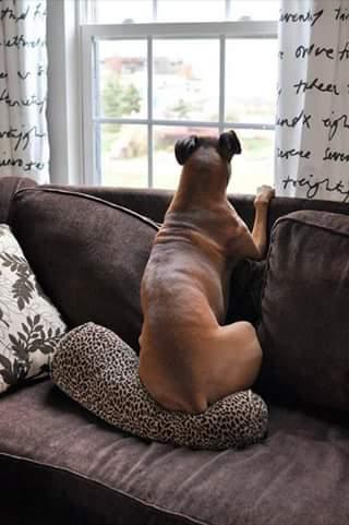 Otoño naranja y más colores