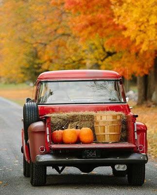 Otoño naranja y más colores