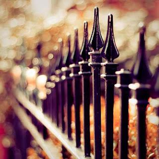 Otoño naranja y más colores