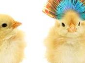 Cambiamos look!!!!!!