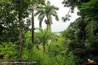 Ciudad de Quepos -Quepos de Quepos de Puntarenas-