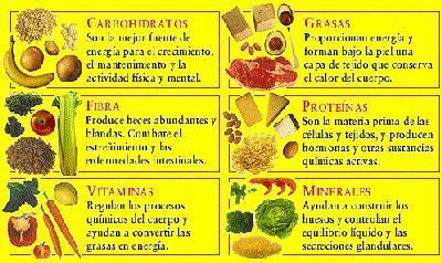 Los grupos de alimentos