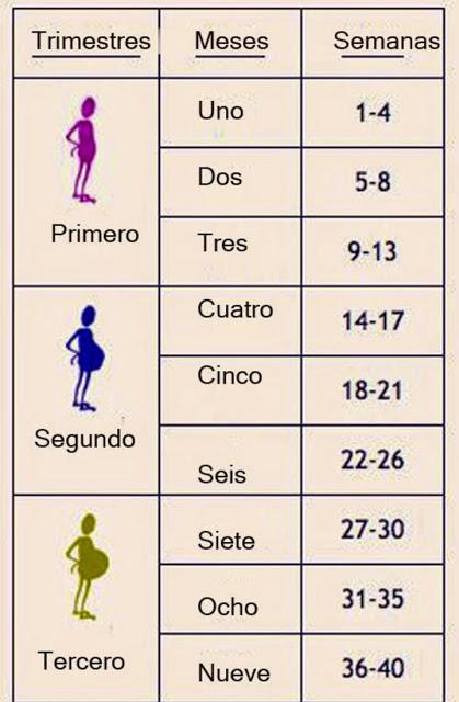 MIMIKINDER: MESES 3 Y 4, DE LA “HAMBRUSTIA” A CALORES EN EL PARAÍSO