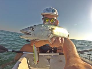 Fin de semana saltwater