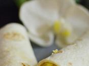 Wraps ensalada salmón huevo