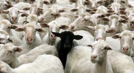 ¿Qué es una distinción?