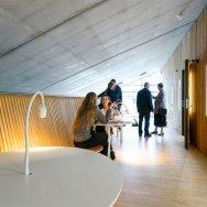 10 Gammel Hellerup, BIG 56