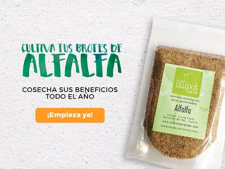 Beneficios de los brotes de alfalfa