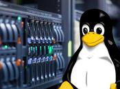 Google corrige crítico Linux estado presente años