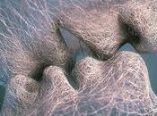 Besos… beneficiosos pensamos.