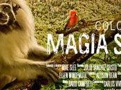 Colombia: Magia Salvaje: película para ver,