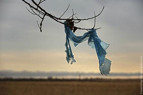 Di no a las bolsas de plástico de un solo uso Trozo de plástico en una rama