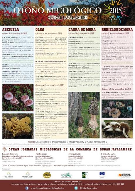 OTOÑO MICOLÓGICO (GUDAR JAVALAMBRE)