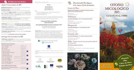 OTOÑO MICOLÓGICO (GUDAR JAVALAMBRE)