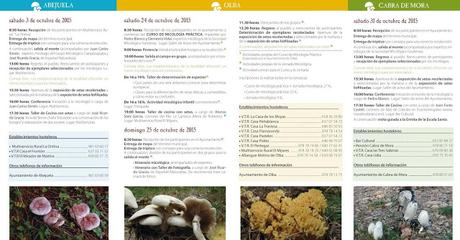 OTOÑO MICOLÓGICO (GUDAR JAVALAMBRE)