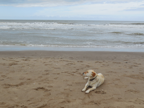 Pinamar - Mini Vacation