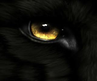 Los lobos acechan en la oscuridad: su zarpazo desgarrará tus nervios... (Reseña)