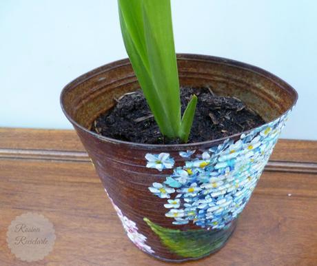 Lata-Maceta Lata-Maceta