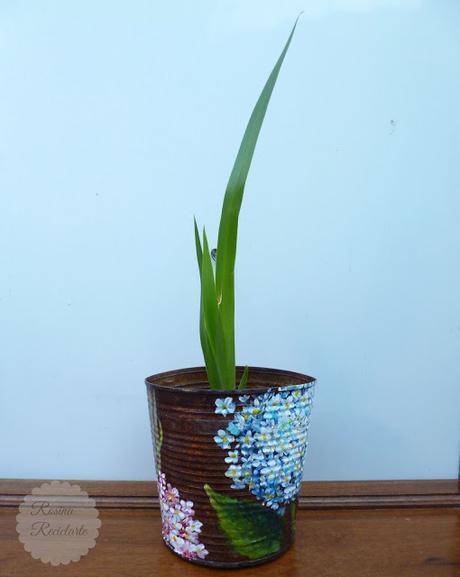 Lata-Maceta Lata-Maceta