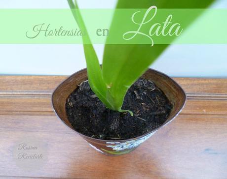 Lata-Maceta Lata-Maceta