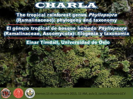 Phyllopsora (Ramalinaceae, Ascomycota): Charla y Taller desde Noruega para Venezuela