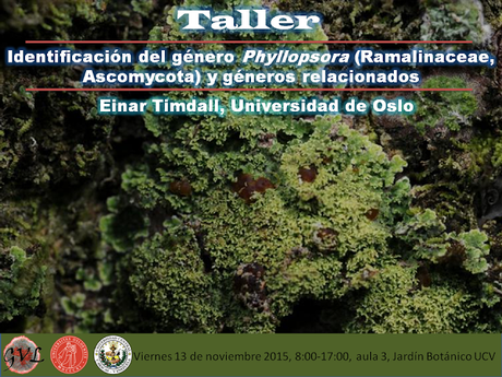 Phyllopsora (Ramalinaceae, Ascomycota): Charla y Taller desde Noruega para Venezuela