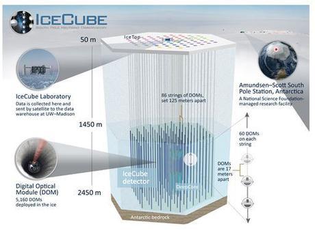 A la caza de neutrinos detector