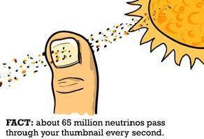 A la caza de neutrinos neu