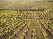 Climats vignoble Bourgogne