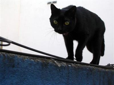 Y llegó la primavera!