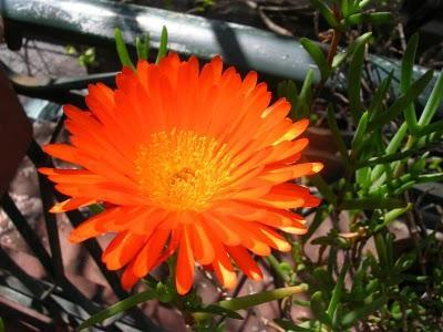 Y llegó la primavera!