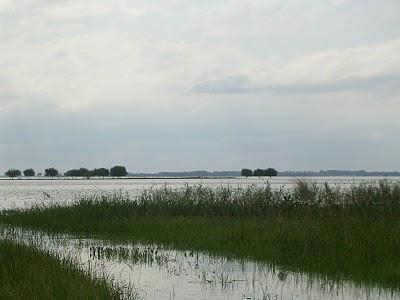 Atardece sobre el lago