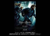 Videoblog 21 & Harry Pottermania