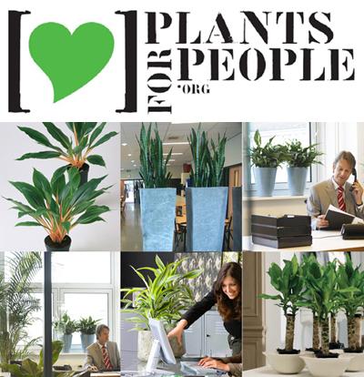 Las plantas en el entorno laboral