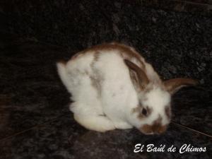 Uno más, la familia crece!