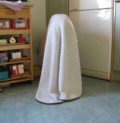 Una fría mañana de noviembre en la vida de Tato....