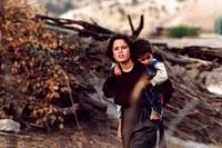 Cinecritica: Las Tortugas Pueden Volar