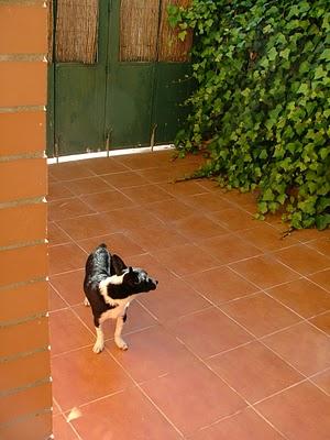 Chico, vagaba sin rumbo, solito, enfermo y ahora busca una oportunidad.