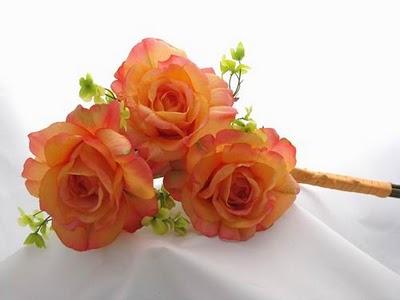 Naranja y Verde manzana: Pura frescura