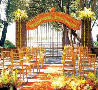 Naranja y Verde manzana: Pura frescura