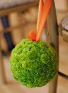 Naranja y Verde manzana: Pura frescura