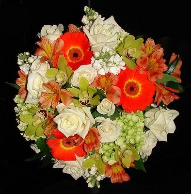 Naranja y Verde manzana: Pura frescura