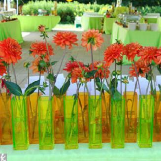 Naranja y Verde manzana: Pura frescura